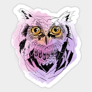 Owl graphic illustration on watercolor background Sticker